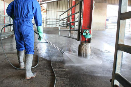 Сарайды дезинфекциялау