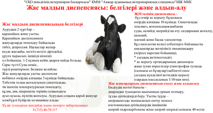 Жас малдың диспепсиясы: белгілері және алдын-алу